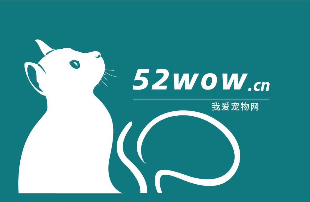 怎么让猫咪催吐，安全有效的方法与注意事项是什么？